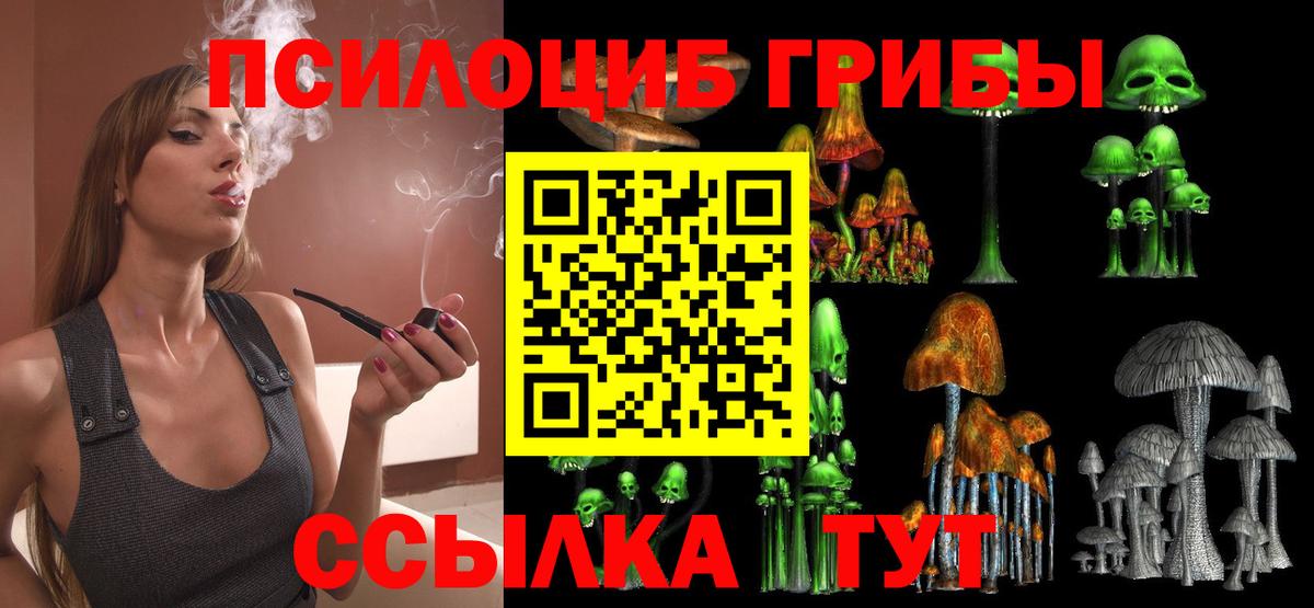 Орск  Галлюциногенные грибы мицелий  Вход с VPN 