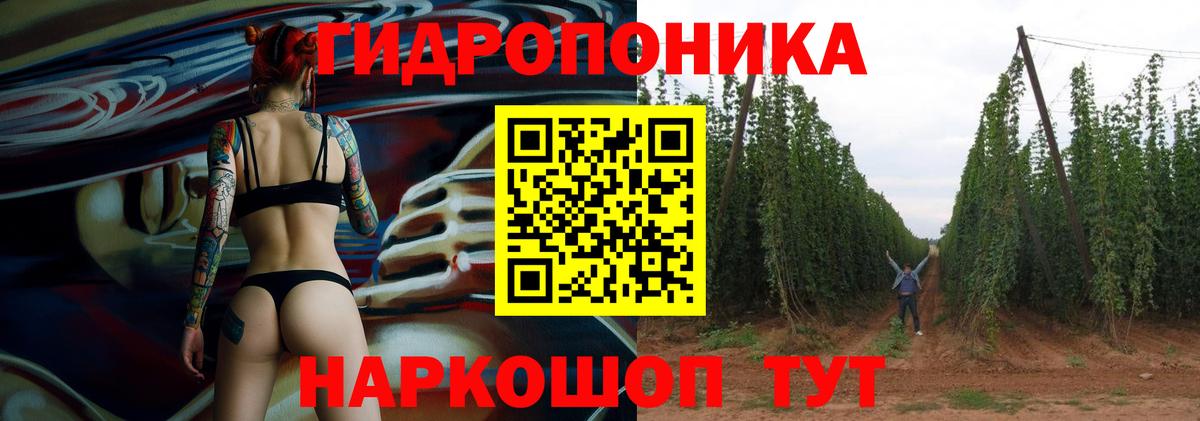 Бошки марихуана тримм  Вход с VPN  Марихуана Amnesia  Орск  Конопля VHQ  Марихуана сатива 